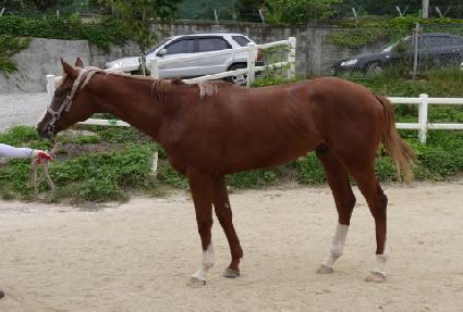 ��罺�� ����