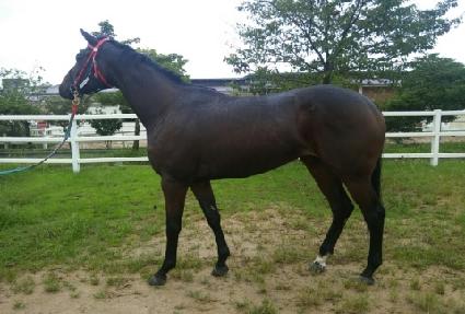 �׷���Ʈ�� ����