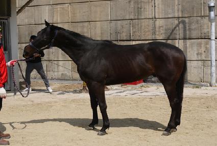 �����ο� ����