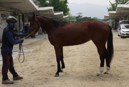 �ο���ũ ����