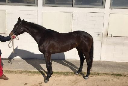 �����ͺ� ����