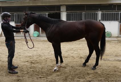 ������� ����