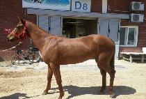 �����̼��� (B.K. SAY) ����