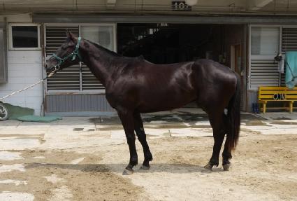 �����Ǹ� ����