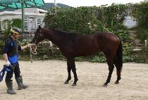 ��Ʈ���� (CONTRAIL) ����