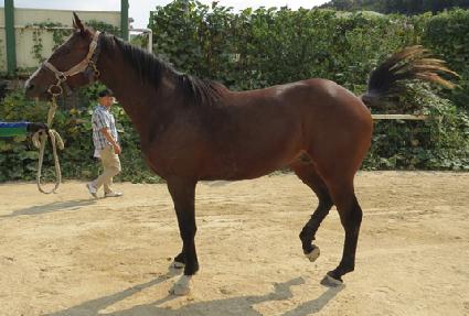 ���̸ո�ġ ����