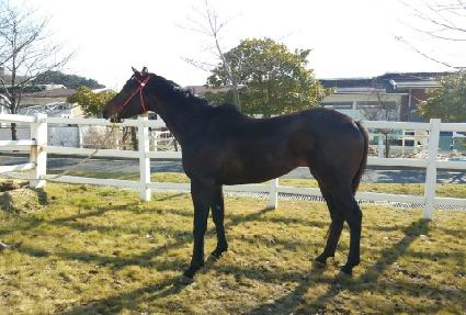 ������� ����