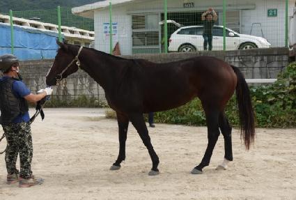 ��õ�뼺 ����