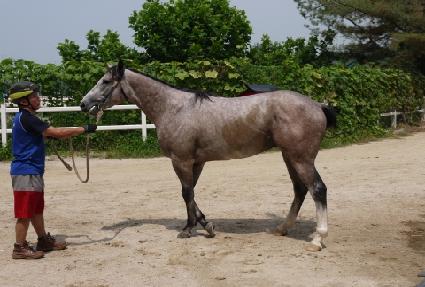 �ް�è�� ����