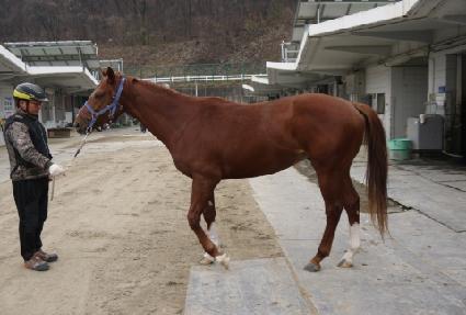 ���ȭ��Ʈ ����