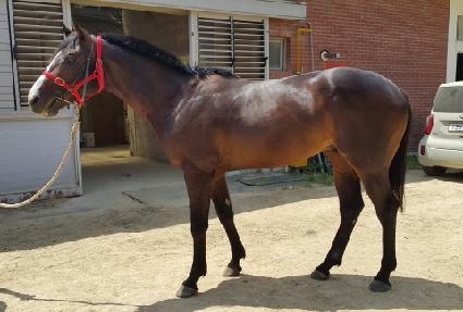 �ɼ��󼼶� ����