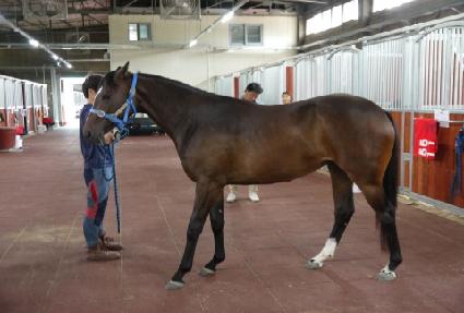 ������� ����