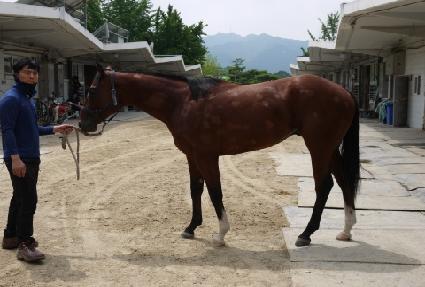 ���ǻ�� ����