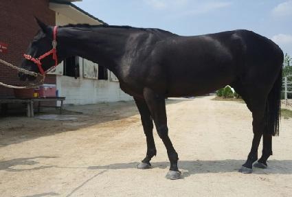 ������ ����