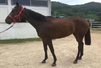 �ÿ��� ����