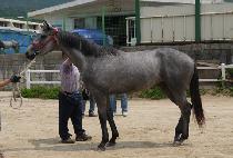 ���� (GHEOB GYEONGSA) ����