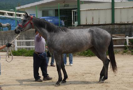 ���� ����