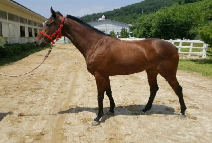 �Ŷ������� ����