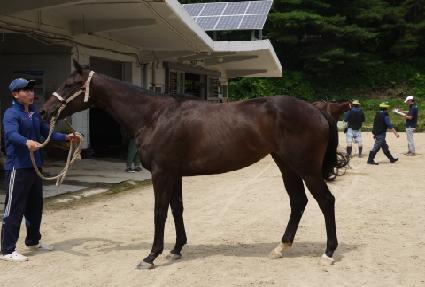 ���� ����