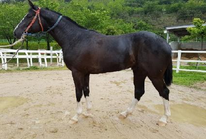 ȣ����� ����