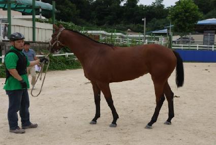 �����Ƿ��̽� ����