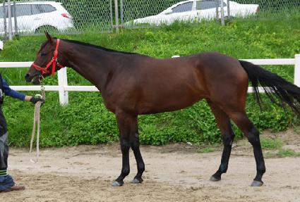 û����ȣ ����