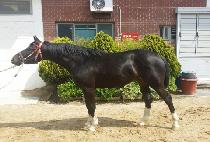 �´������� (ONNURI GANGJA) ����