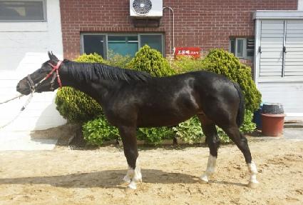 �´������� ����