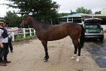 ����ũ��� (PYEONGCHON CROWN) ����