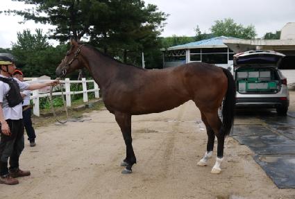 ����ũ��� ����