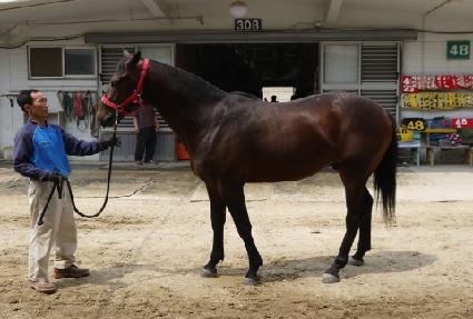 ��Ű���� ����