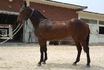 ���ǹ�� (HAPPY BAND) ����