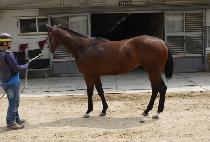 �����Ǿ�ħ (GANGCHONUI ACHIM) ����