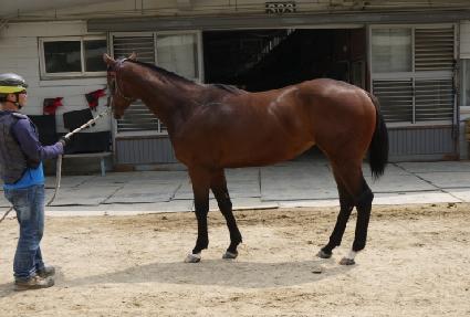 �����Ǿ�ħ ����