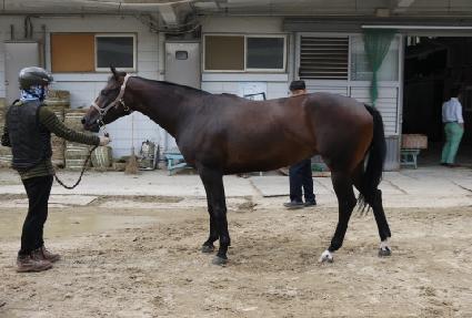 ������Ʈ�� ����