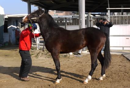 Ǫ������ ����