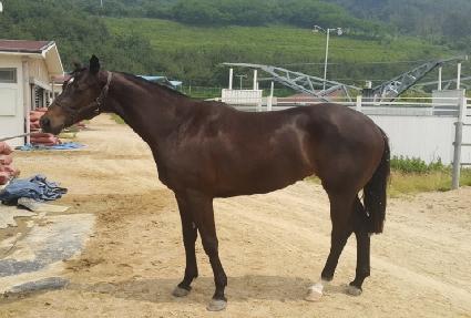 ĸ���� ����