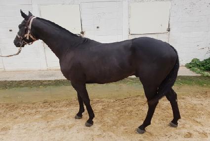 ���۽����� ����