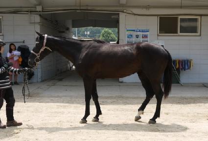 ���丣 ����