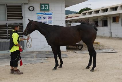 ���ѿ���� ����