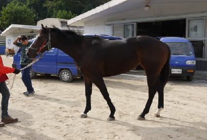 ��Ŭ����帲 ����