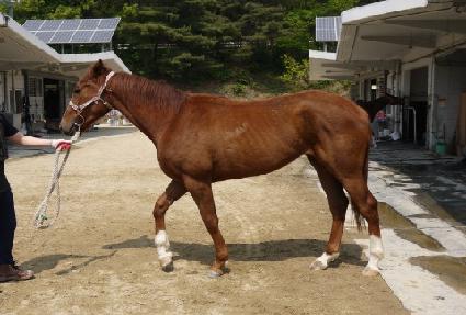 �ʿ��ո� ����