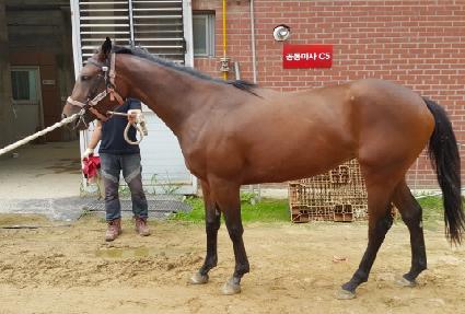 ���̽���� ����