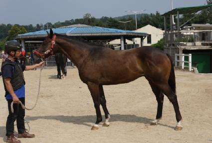 ���ۼ��̺� ����