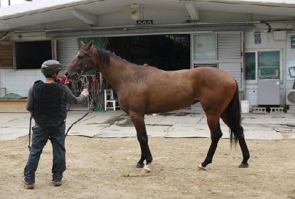 ���Ǽ���� ����