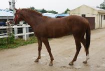 �ͿͿ���� (WAWA YEOJANGBU) ����