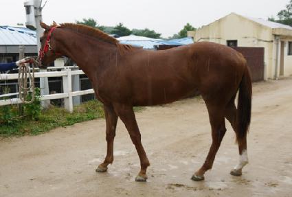 �ͿͿ���� ����