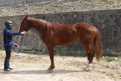 ������ ����