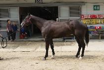 �������� (SAMPAL EUTTEUM) ����