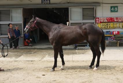 �������� ����